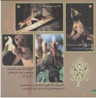 مجله خردسال 86 صفحه 20