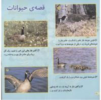 مجله خردسال 90 صفحه 20