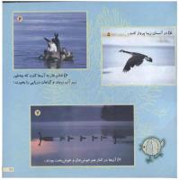 مجله خردسال 90 صفحه 21