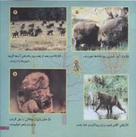 مجله خردسال 91 صفحه 21