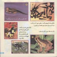 مجله خردسال 96 صفحه 21