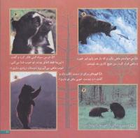 مجله خردسال 98 صفحه 21