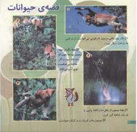 مجله خردسال 104 صفحه 20