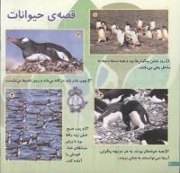 مجله خردسال 106 صفحه 20