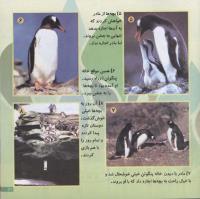 مجله خردسال 106 صفحه 21