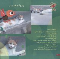 مجله خردسال 107 صفحه 22