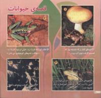 مجله خردسال 108 صفحه 20
