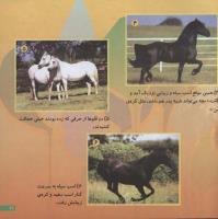 مجله خردسال 112 صفحه 21