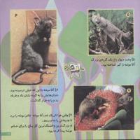 مجله خردسال 113 صفحه 21