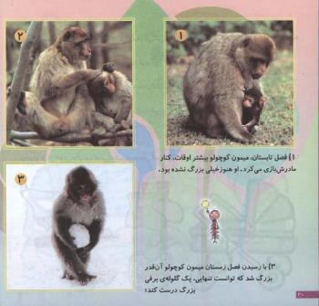 مجله خردسال 121 صفحه 20