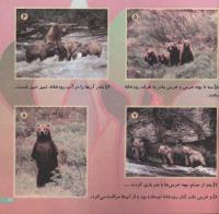 مجله خردسال 122 صفحه 21