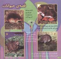 مجله خردسال 123 صفحه 20