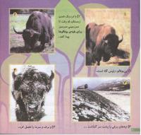 مجله خردسال 124 صفحه 20