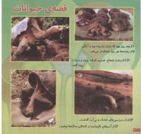 مجله خردسال 125 صفحه 20