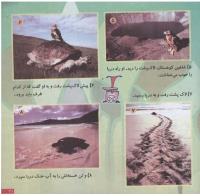 مجله خردسال 125 صفحه 21
