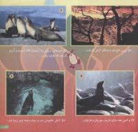 مجله خردسال 130 صفحه 21