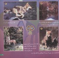 مجله خردسال 131 صفحه 21