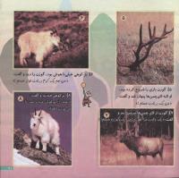 مجله خردسال 132 صفحه 19