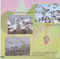 مجله خردسال 138 صفحه 21
