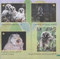 مجله خردسال 140 صفحه 20