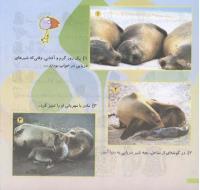 مجله خردسال 142 صفحه 20