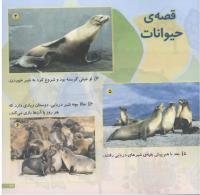 مجله خردسال 142 صفحه 21