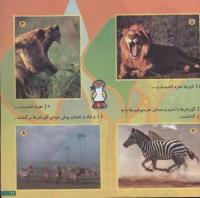 مجله خردسال 145 صفحه 21