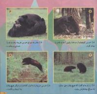 مجله خردسال 148 صفحه 21