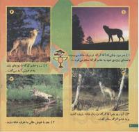 مجله خردسال 149 صفحه 20