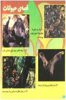 مجله خردسال 150 صفحه 20