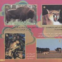 مجله خردسال 156 صفحه 21