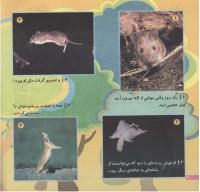 مجله خردسال 162 صفحه 20