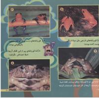 مجله خردسال 163 صفحه 21