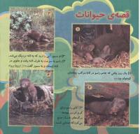مجله خردسال 164 صفحه 20