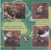 مجله خردسال 164 صفحه 21