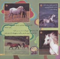 مجله خردسال 165 صفحه 21