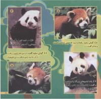 مجله خردسال 166 صفحه 21