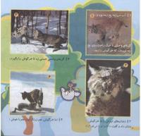 مجله خردسال 167 صفحه 20