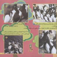 مجله خردسال 168 صفحه 21