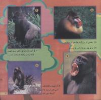 مجله خردسال 170 صفحه 21