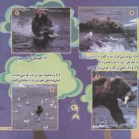مجله خردسال 173 صفحه 21