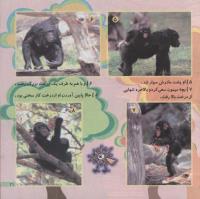 مجله خردسال 174 صفحه 21