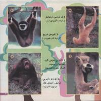 مجله خردسال 175 صفحه 21