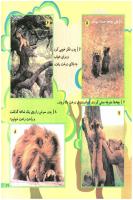 مجله خردسال 177 صفحه 21