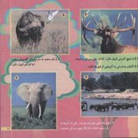 مجله خردسال 178 صفحه 21