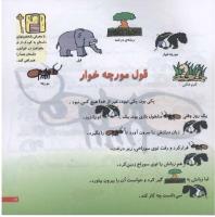 مجله خردسال 179 صفحه 17