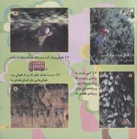 مجله خردسال 179 صفحه 21