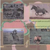 مجله خردسال 181 صفحه 21