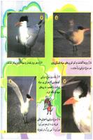 مجله خردسال 183 صفحه 21