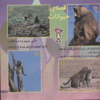 مجله خردسال 192 صفحه 21